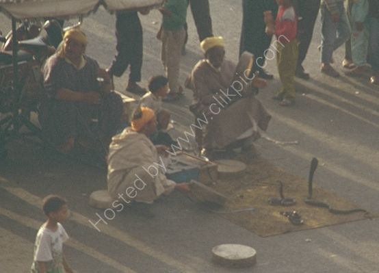 Snake Charmer, Place Jemaa el-Fna, Marrakech